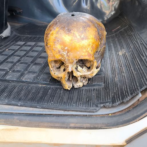 Crânio humano usado como "decoração" é encontrado no lixo 