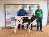 Qualidade genética e potencial leiteiro em destaque no julgamento de gado holandês da ExpoCedro 2025