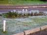 Geada muda paisagem em São Miguel do Oeste neste domingo; FOTOS E VÍDEO