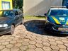 PRF prende foragido após furto de carro em Campo Erê e fuga na BR-282