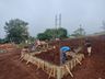 Acompanhe os trabalhos de construção do parque de transmissão para Atalaia FM 