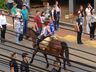 Grande público prestigia Desfile de Sete de Setembro em Iporã do Oeste