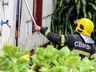Casa é atingida por incêndio em São Miguel do Oeste; fotos
