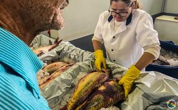 Venda de peixes supera expectativa na Feira Livre e atinge marca de nove toneladas