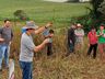 Guarujá do Sul realiza mais uma atividade do programa “Junho Verde”  