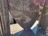 Polícia investiga atos de vandalismo no cemitério de Itapiranga