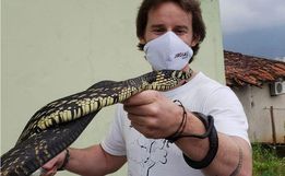 Morador encontra cobra de 1,5 metro em quarto de ferramentas em SC
