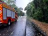 Árvores caídas interditam BR-282 em Maravilha e mobilizam bombeiros