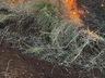 Incêndio em vegetação atinge 100 hectares após carro pegar fogo no interior de Sul Brasil