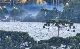 Junho deve ser menos chuvoso e com temperaturas acima da média em SC