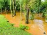 FOTOS: Nível de água do Rio Uruguai começa estabilizar em Itapiranga