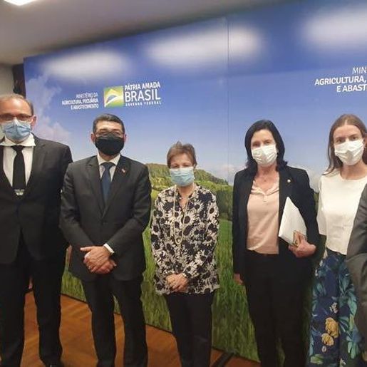 Cidasc busca flexibilização da legislação de inspeção em reunião no Ministério de Agricultura