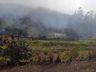 Residência é destruída por incêndio no interior de Riqueza