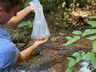 Comunidade realiza ação em prol do meio ambiente no interior de Itapiranga