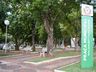 População atende pedidos e movimento nas ruas é baixo 