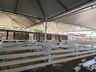 Parque de exposições começa receber animais para 11ª Efrait