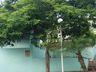 Tunápolis dá continuidade ao plano de arborização com plantio de árvores na cidade