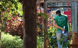 Município contabiliza cerca 1,5 mil casos de Dengue