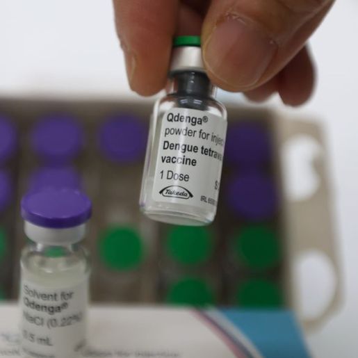 Com 231 mortes, cobertura vacinal da dengue não avança em Santa Catarina