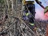 Área de mata atingida por incêndio volta a pegar fogo