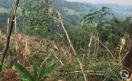 Ventos fortes causam grande destruição no interior de Iporã do Oeste