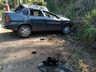 Capotamento deixa homem ferido no interior de São José do Cedro