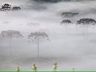 SC tem amanhecer com temperatura abaixo de 3°C nesta terça-feira