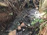Contaminação por dejetos suspende abastecimento de água em Descanso e Belmonte