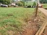 Vídeo:Dois bovinos morrem eletrocutados após caminhão derrubar poste no interior de Iporã do Oeste