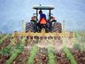 Agricultura altera horário de funcionamento nos dias 23 e 30 deste mês