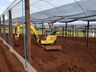 Empreendedor aposta na produção de hortifrutis no interior de Mondaí