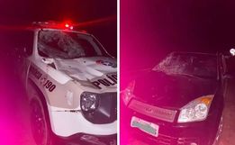 Cavalo foge, invade rodovia e morre ao ser atropelado 2 vezes seguidas em SC