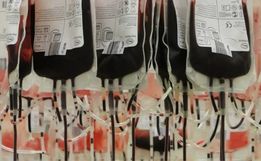Estoques de sangue estão em nível muito baixo em SC
