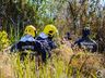 VÍDEO: Geada e tempo seco aumentam riscos de incêndios em vegetação 
