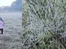 Com frio congelante de -3,17°C, região mais fria de SC tem a menor temperatura do ano