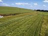 Epagri realiza Dia de Campo para apresentação da cultura de inverno