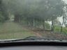 Chuva de granizo causa prejuízos em lavouras da região