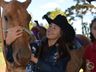 VÍDEO: Relação entre humanos e cavalos traz benefícios para o corpo e mente 