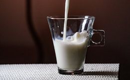 Sancionada lei que reduz ICMS do leite e de alimentos em Santa Catarina