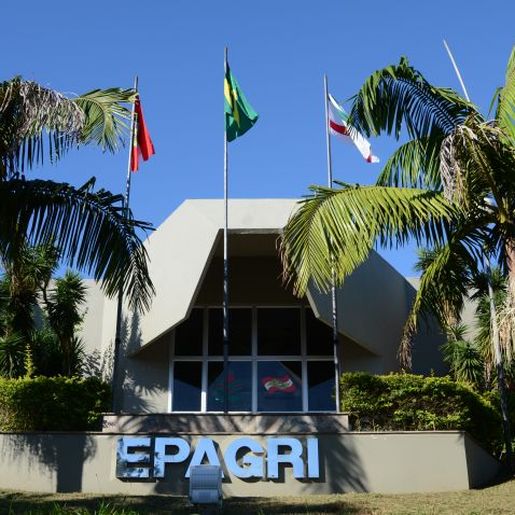 Epagri investe R$ 160 milhões no Extremo Oeste e projeta expansão para escolas rurais