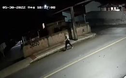 Menina de sete anos é estuprada e degolada pelo padrasto em SC
