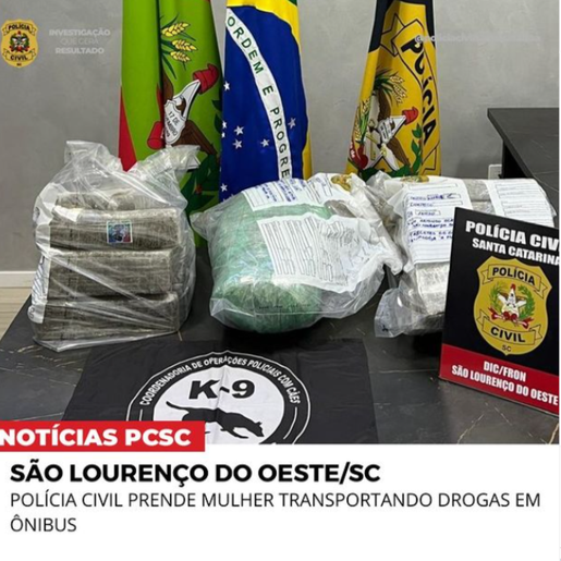 Jovem é presa transportando cerca de 29 Kg de droga em ônibus em São Lourenço 