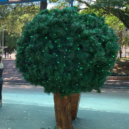 Decoração natalina é alvo de vandalismo em São Miguel do Oeste