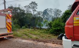 Incêndio destrói galpão e mata animais em São João do Oeste