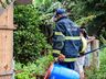 VÍDEO: Morador encontra Jararaca em porão de casa e aciona bombeiros em SMO