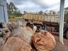 SMO: Coleta no Meio Rural recolheu 50 toneladas de materiais