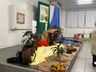 Com foco na sustentabilidade, Paróquia São Miguel Arcanjo realiza 15º Seminário da Terra e da Cidade