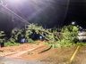 VÍDEO: Temporal com granizo causa estragos em São Miguel do Oeste