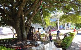 Equipe inicia retirada da decoração natalina em São José do Cedro