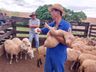 Ovino caprinocultura é trabalhada com produtores em Guarujá do Sul
